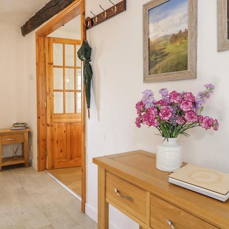 Cyffdy Cottage - Tegid Bala Exteriér fotografie